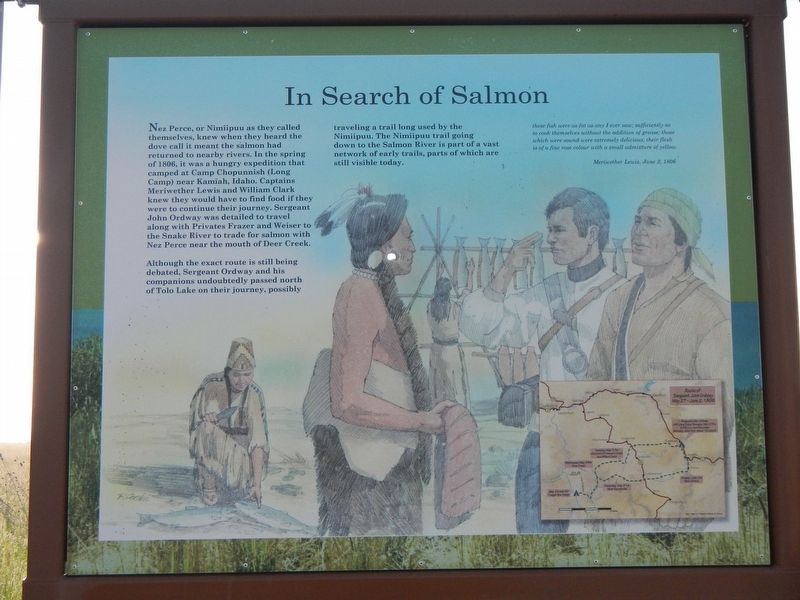 In Search of Salmon panel. Click for full size. In Search of Salmon panel image. Click for full size.