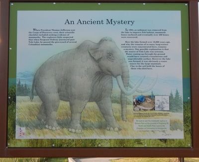 An Ancient Mystery panel. Click for full size. An Ancient Mystery panel image. Click for full size.