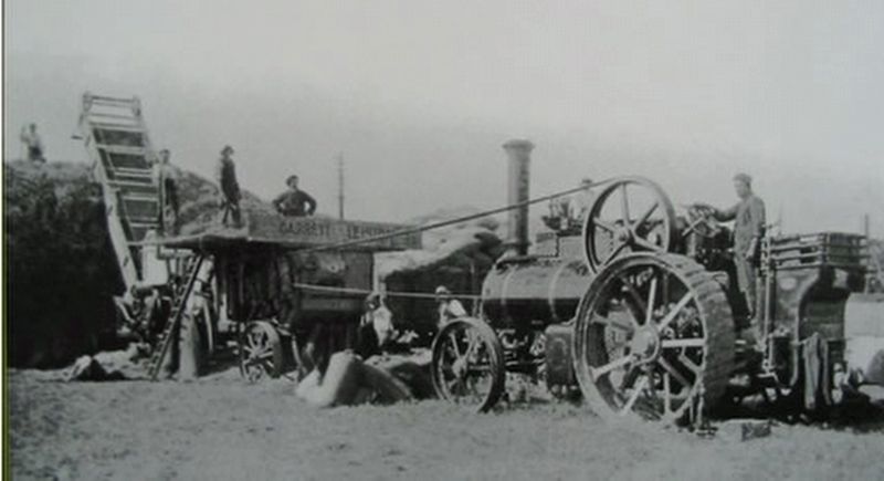 Steam Traction Engine threshing image. Click for full size.