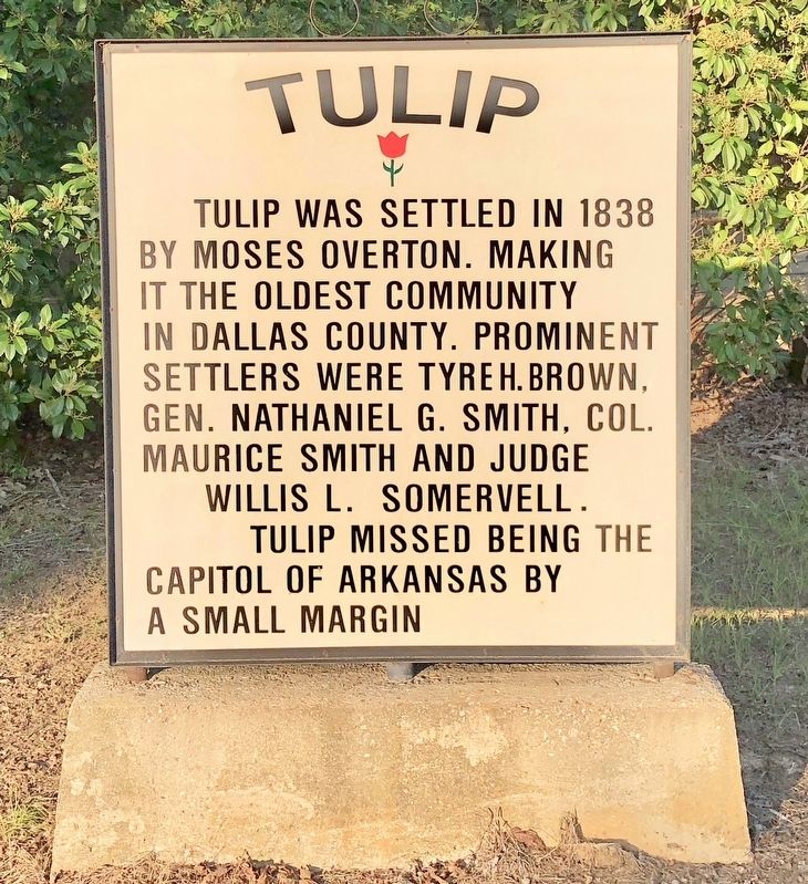 Tulip Marker image. Click for full size.