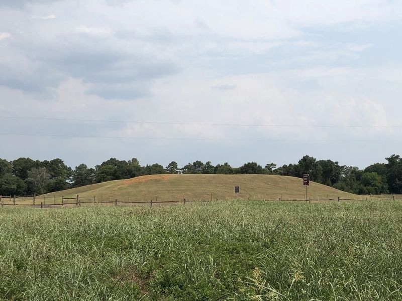 Site of Neches Indian Village Marker. Click for full size. Site of Neches Indian Village Marker image. Click for full size.
