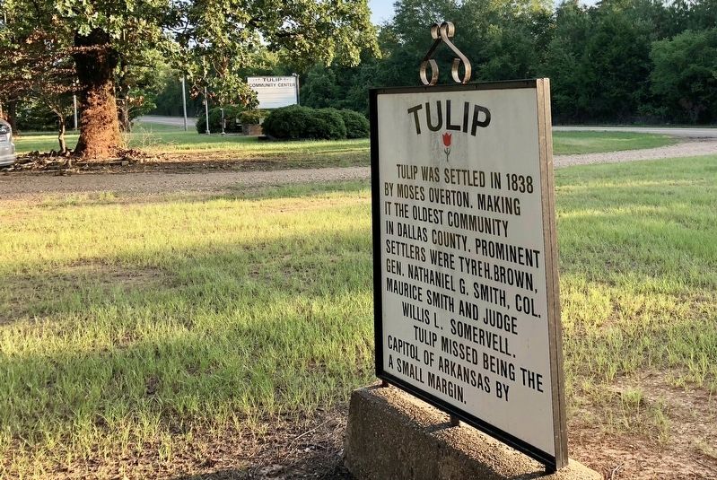 View from a Tulip Marker towards the south and Tulip Community Center sign. image. Click for full size.