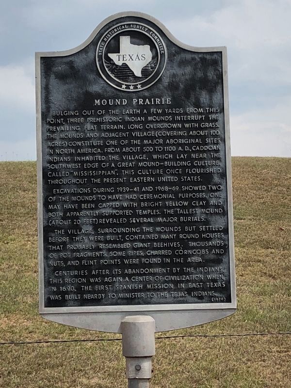 Mound Prairie Marker - post-refurbishment image. Click for full size.