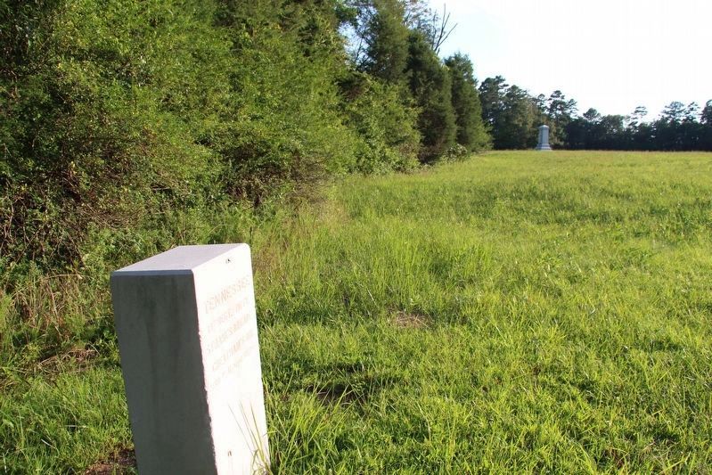 19th Tennessee Infantry Marker. Click for full size. 19th Tennessee Infantry Marker image. Click for full size.