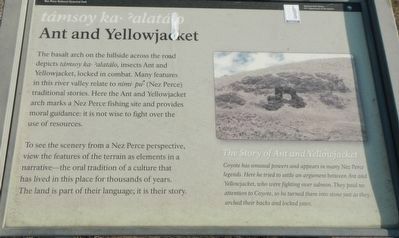 Ant & Yellowjacket Marker. Click for full size. Ant & Yellowjacket Marker image. Click for full size.