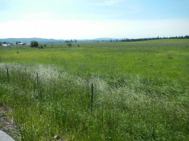 Weippe Prairie. Click for full size. Weippe Prairie image. Click for full size.
