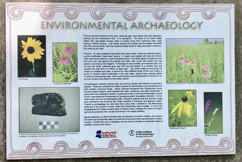 Environmental Archaeology Marker image. Click for full size.