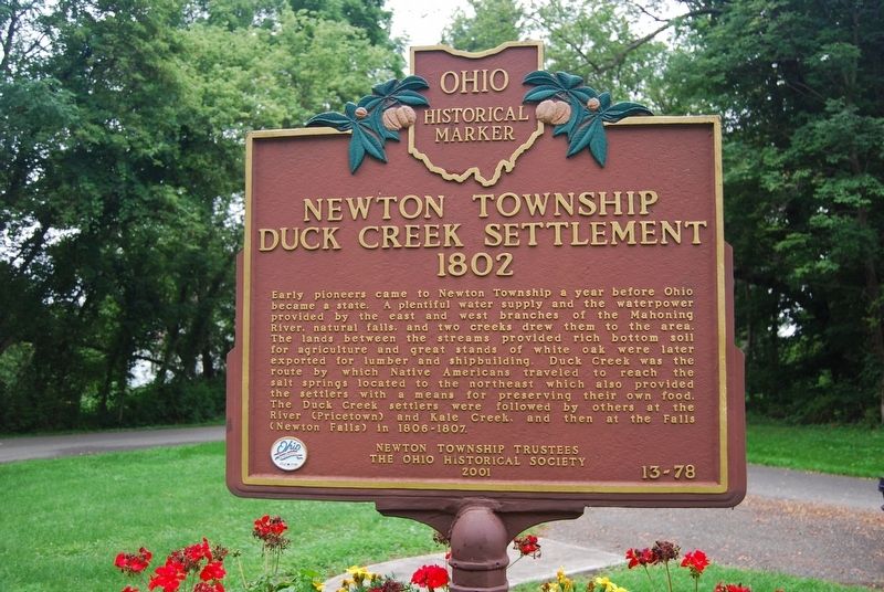 Newton Township Duck Creek Settlement Marker image. Click for full size.