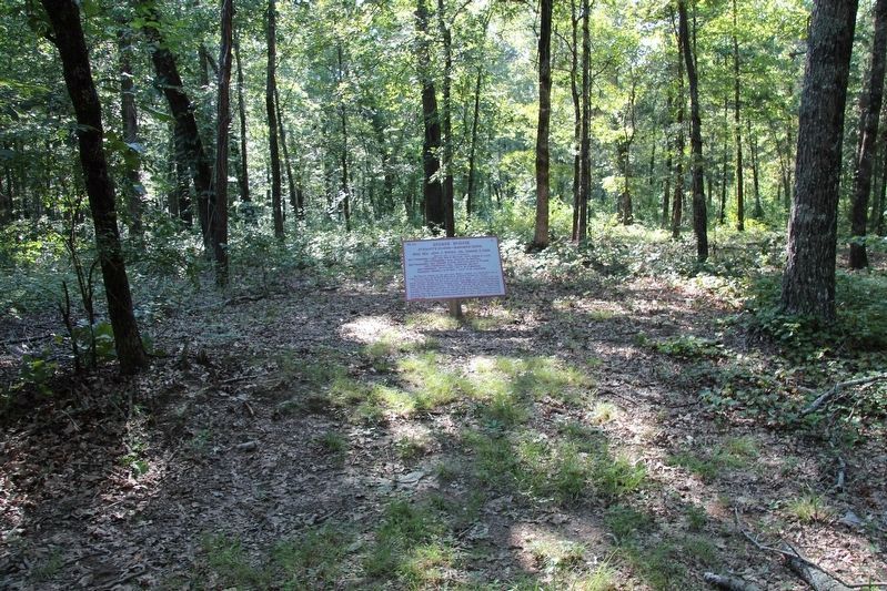 Brown's Brigade Marker. Click for full size. Brown's Brigade Marker image. Click for full size.