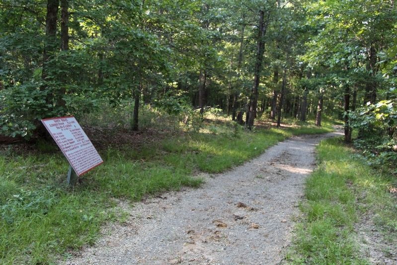 Wood's Brigade Marker. Click for full size. Wood's Brigade Marker image. Click for full size.