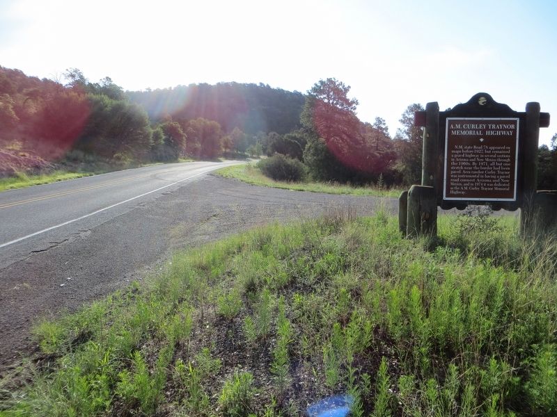 A.M. Curley Traynor Memorial Highway Marker. Click for full size. A.M. Curley Traynor Memorial Highway Marker image. Click for full size.