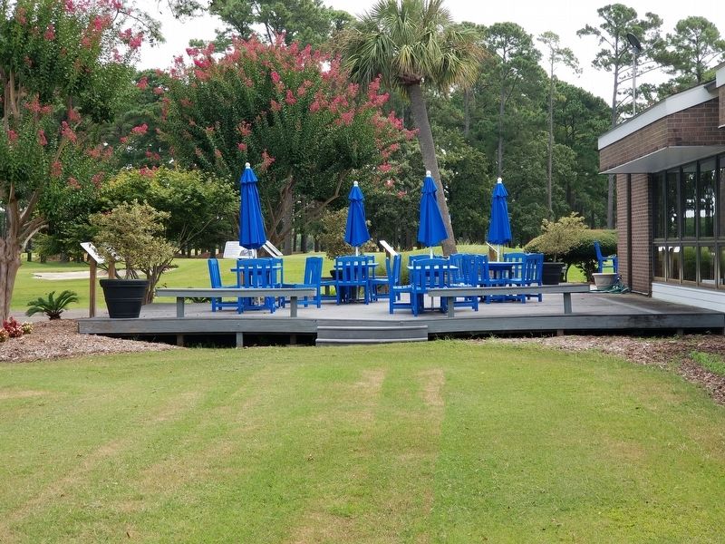 Deck area with several 354 Wing Commanders image. Click for full size.