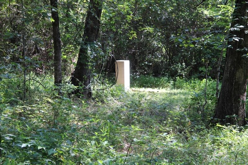38th Tennessee Infantry/Murray's Battalion Marker. Click for full size. 38th Tennessee Infantry/Murray's Battalion Marker image. Click for full size.