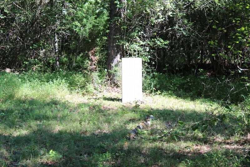 38th Tennessee Infantry/Murray's Battalion Marker image. Click for full size.