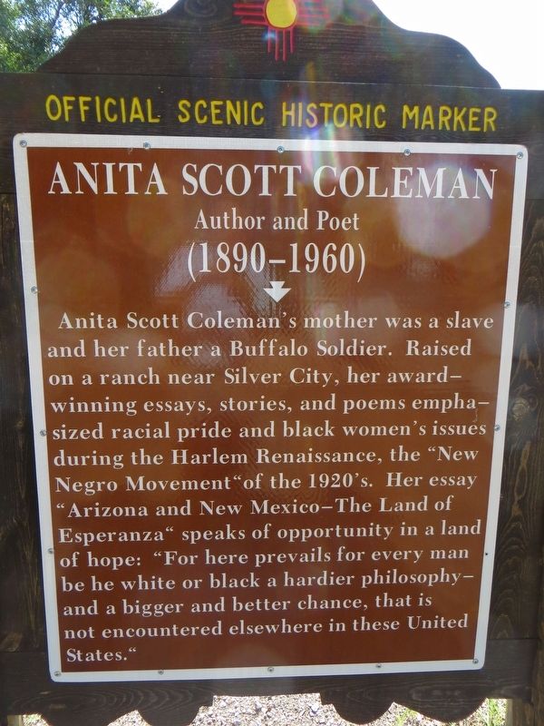 Anita Scott Coleman Marker image. Click for full size.
