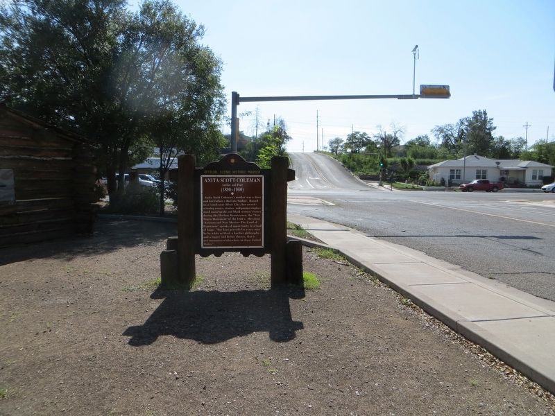 Anita Scott Coleman Marker. Click for full size. Anita Scott Coleman Marker image. Click for full size.