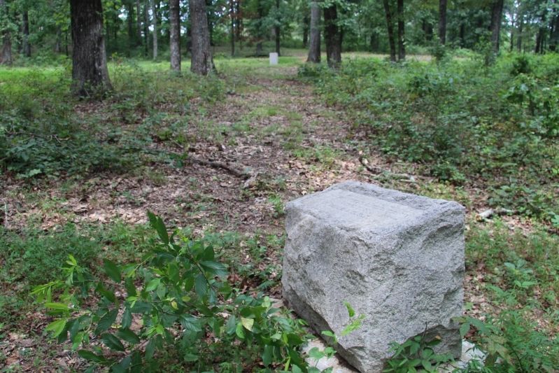8th South Carolina Infantry Marker. Click for full size. 8th South Carolina Infantry Marker image. Click for full size.