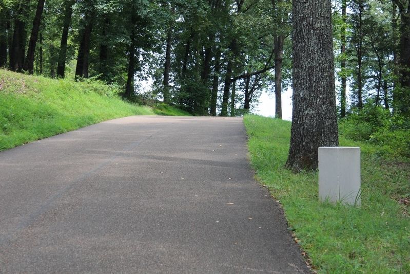 63rd Tennessee Infantry Marker. Click for full size. 63rd Tennessee Infantry Marker image. Click for full size.
