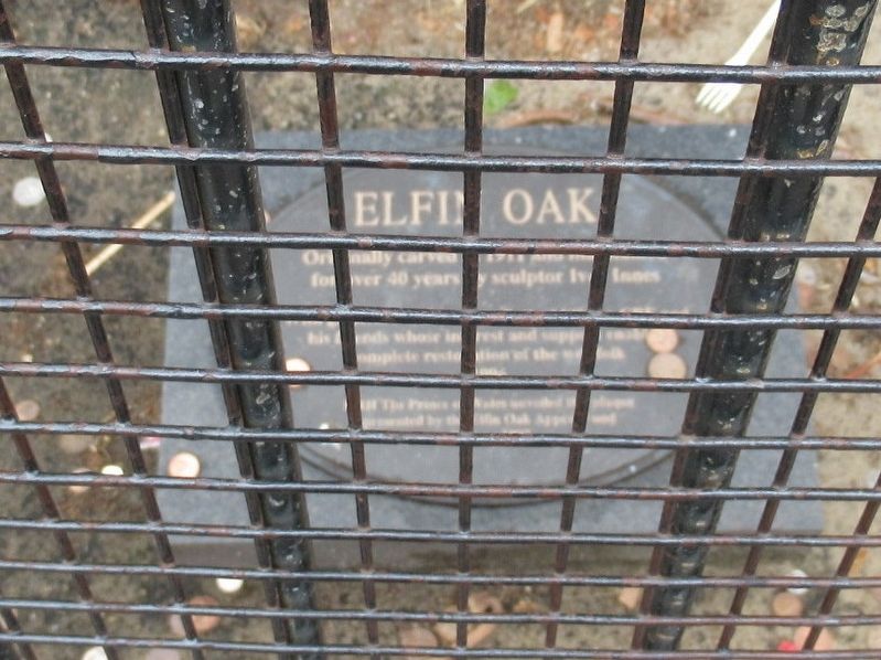 Elfin Oak Marker image. Click for full size.