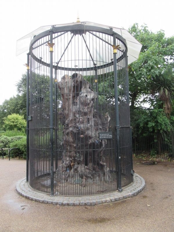 Elfin Oak Marker image. Click for full size.