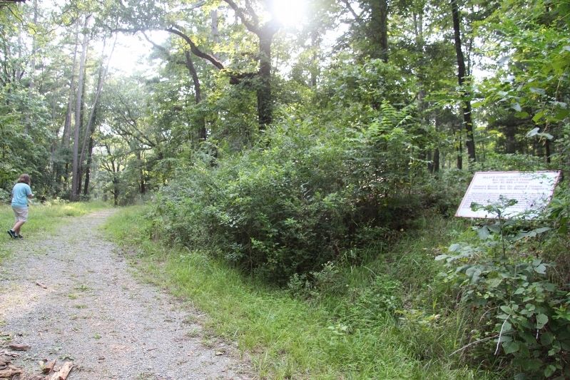 McLaw's Division Marker. Click for full size. McLaw's Division Marker image. Click for full size.