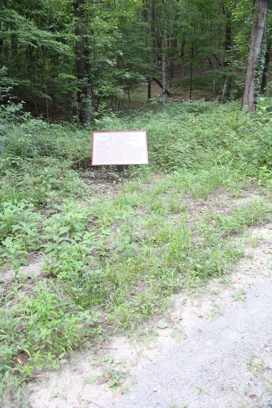 Trigg's Brigade Marker image. Click for full size.