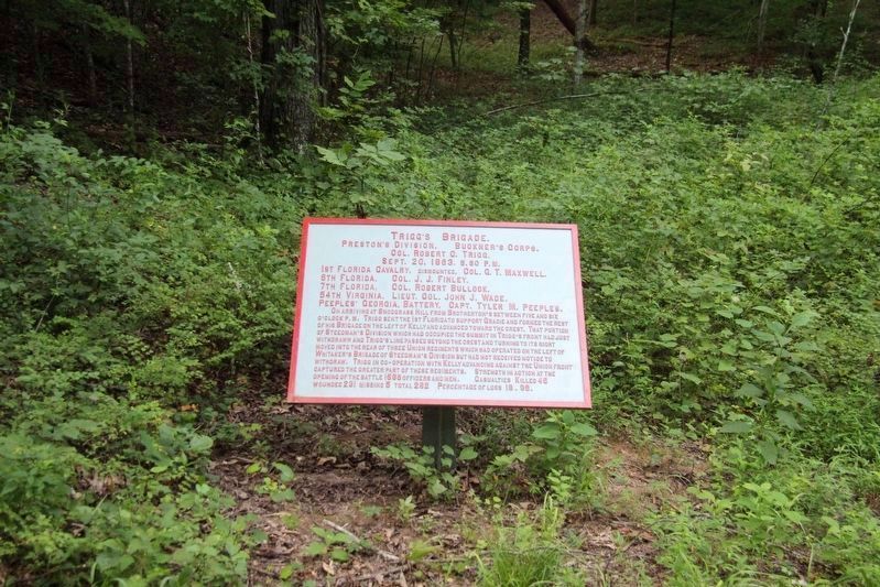 Trigg's Brigade Marker image. Click for full size.