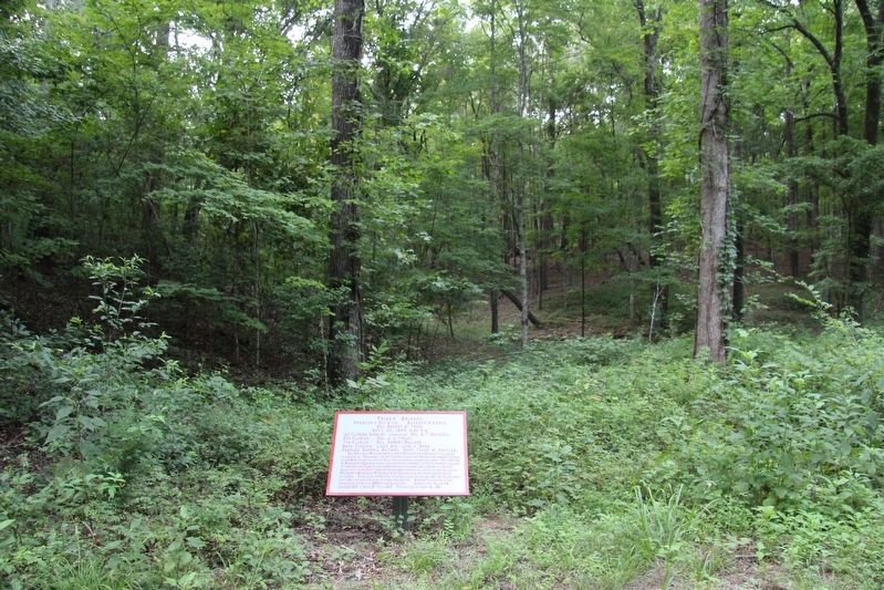 Trigg's Brigade Marker image. Click for full size.