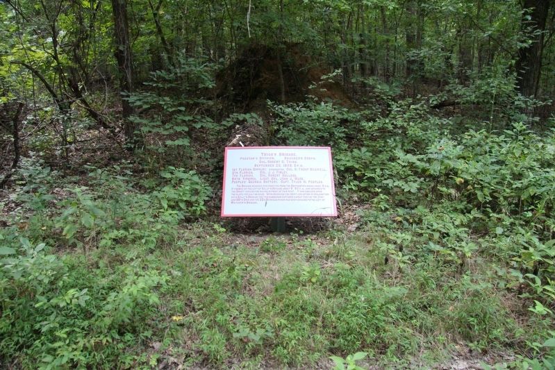 Trigg's Brigade Marker. Click for full size. Trigg's Brigade Marker image. Click for full size.