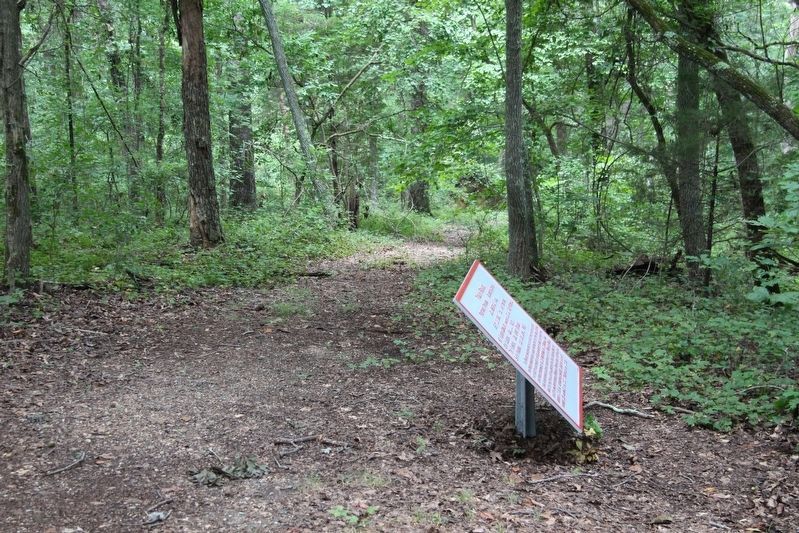 Trigg's Brigade Marker. Click for full size. Trigg's Brigade Marker image. Click for full size.