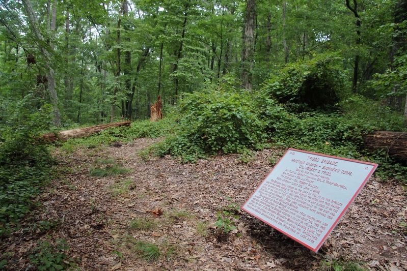 Trigg's Brigade Marker. Click for full size. Trigg's Brigade Marker image. Click for full size.