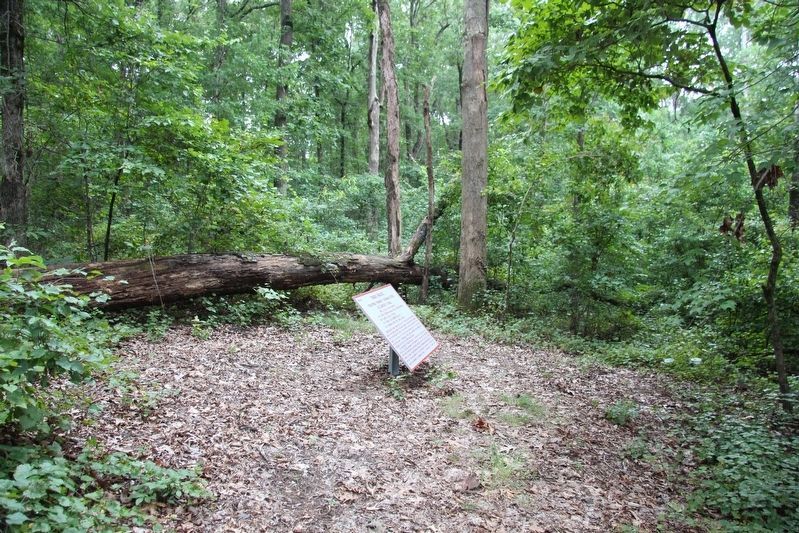 Trigg's Brigade Marker. Click for full size. Trigg's Brigade Marker image. Click for full size.