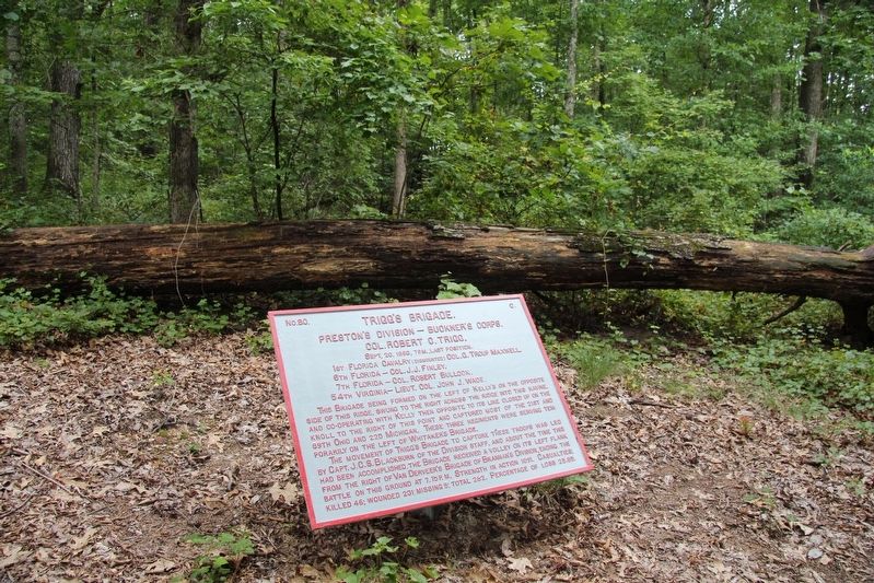 Trigg's Brigade Marker. Click for full size. Trigg's Brigade Marker image. Click for full size.