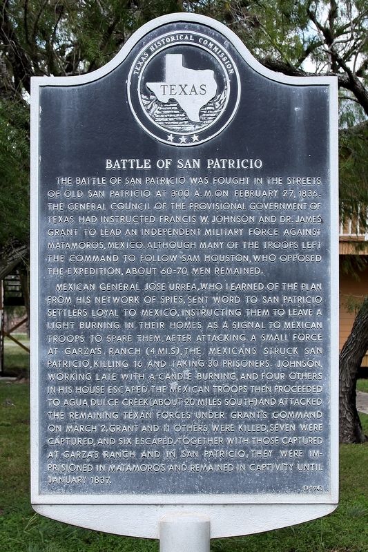 Battle of San Patricio Marker image. Click for full size.