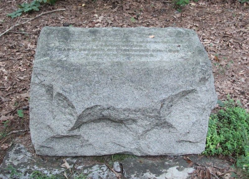 3rd Battalion South Carolina Infantry Marker. Click for full size. 3rd Battalion South Carolina Infantry Marker image. Click for full size.