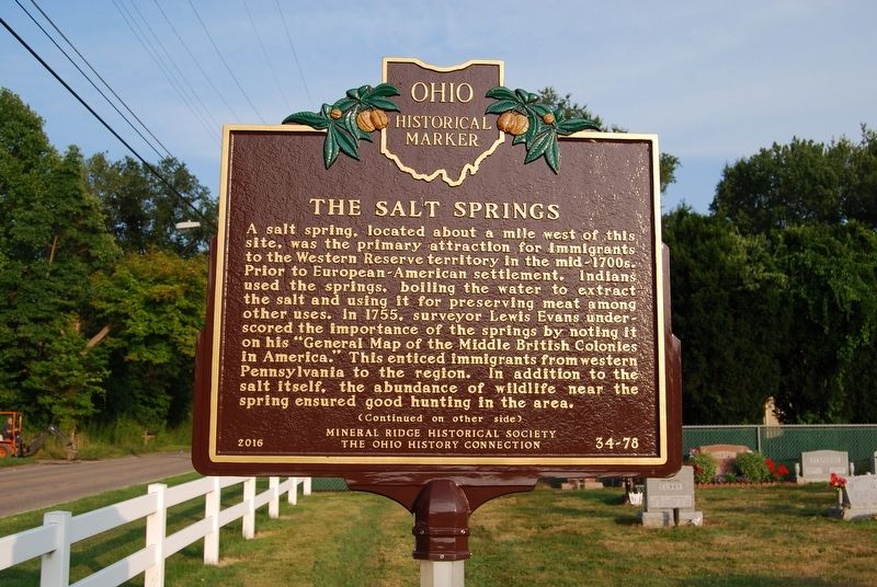 The Salt Springs Marker image. Click for full size.