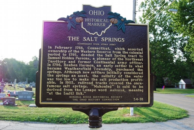 The Salt Springs Marker image. Click for full size.