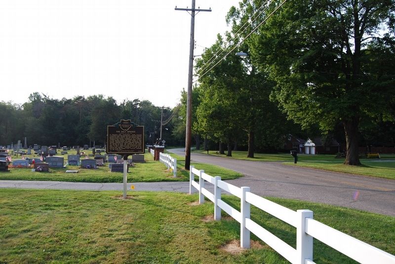 The Salt Springs Marker image. Click for full size.
