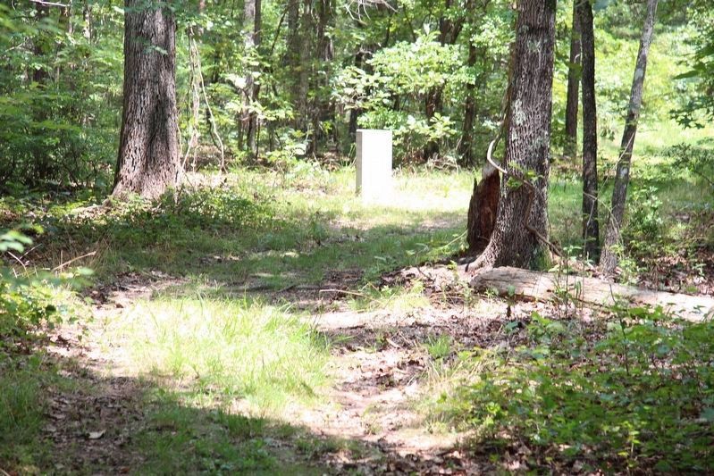 24th Battalion Tennessee Infantry Marker. Click for full size. 24th Battalion Tennessee Infantry Marker image. Click for full size.