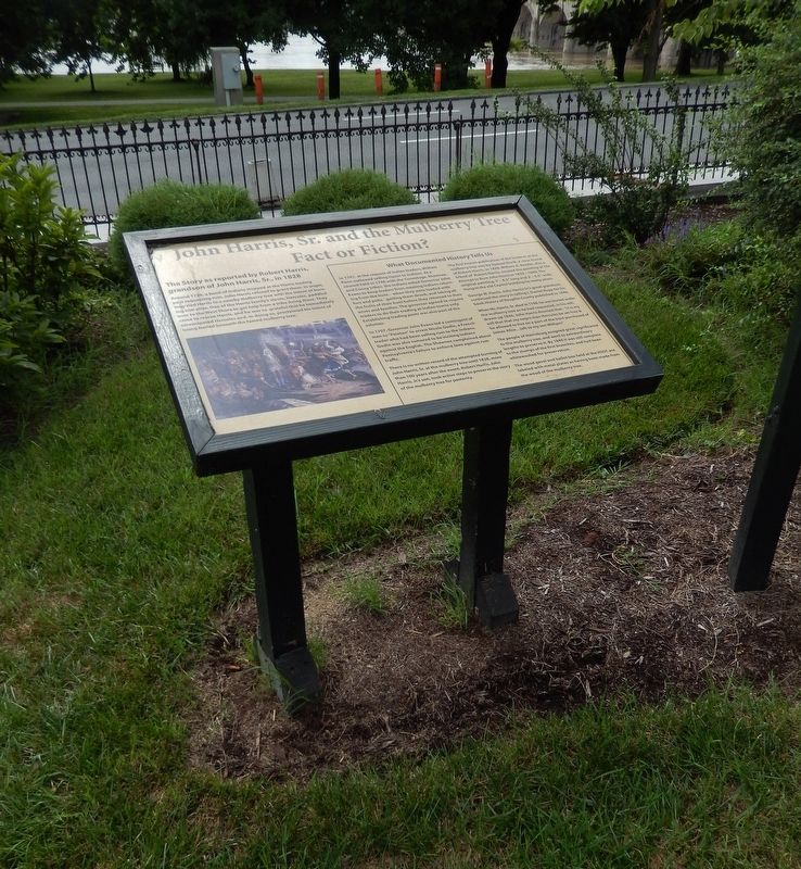John Harris, Sr., and the Mulberry Tree Marker (<i>tall view; South Front Street in background</i>) image. Click for full size.