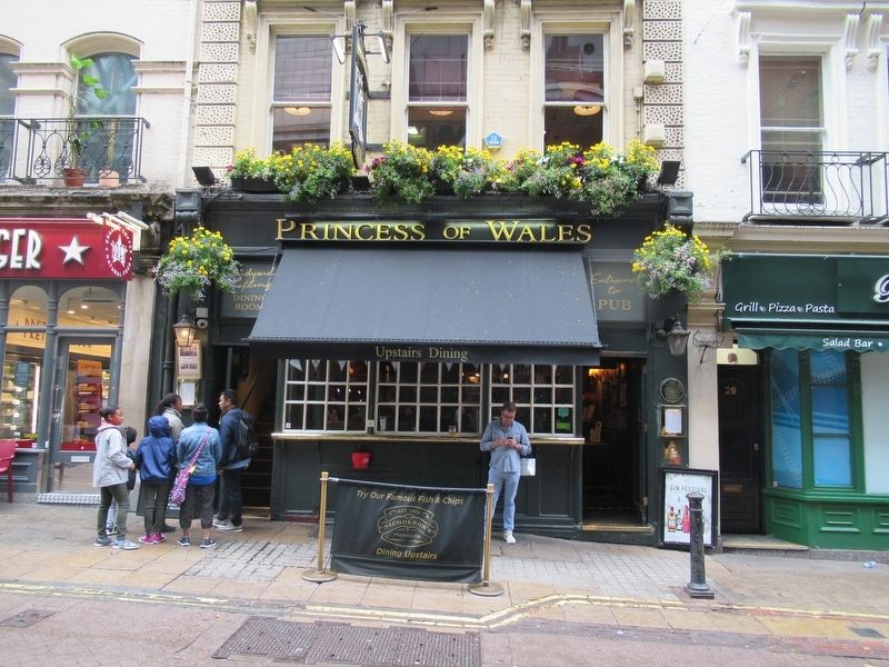 The Princess of Wales pub image. Click for full size.