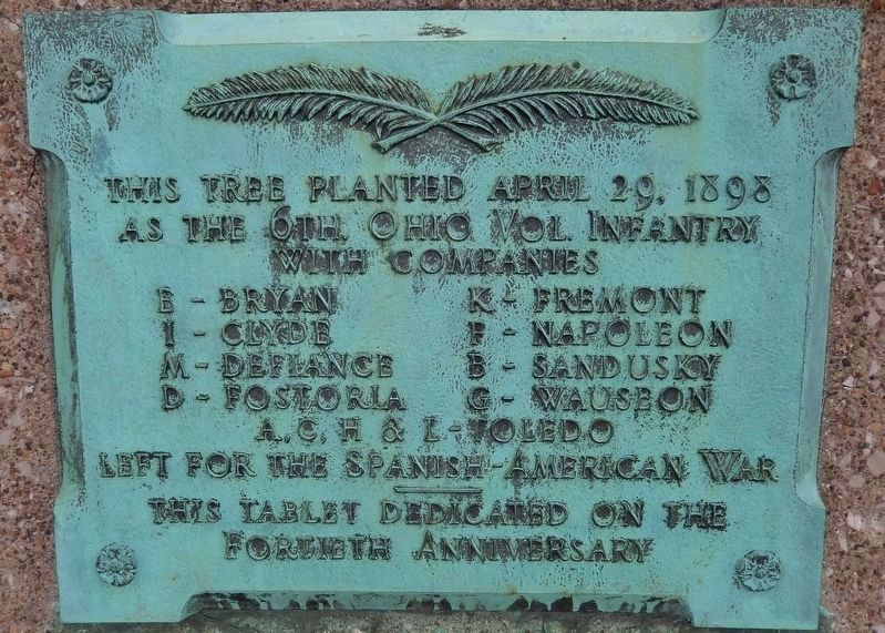 Spanish American War Tree Memorial (<i>related marker located nearby on the courthouse grounds</i>) image. Click for full size.