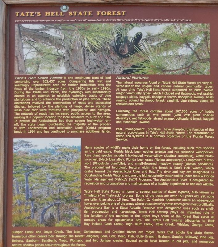 Tate's Hell State Forest (<i>left side panel of marker</i>) image. Click for full size.