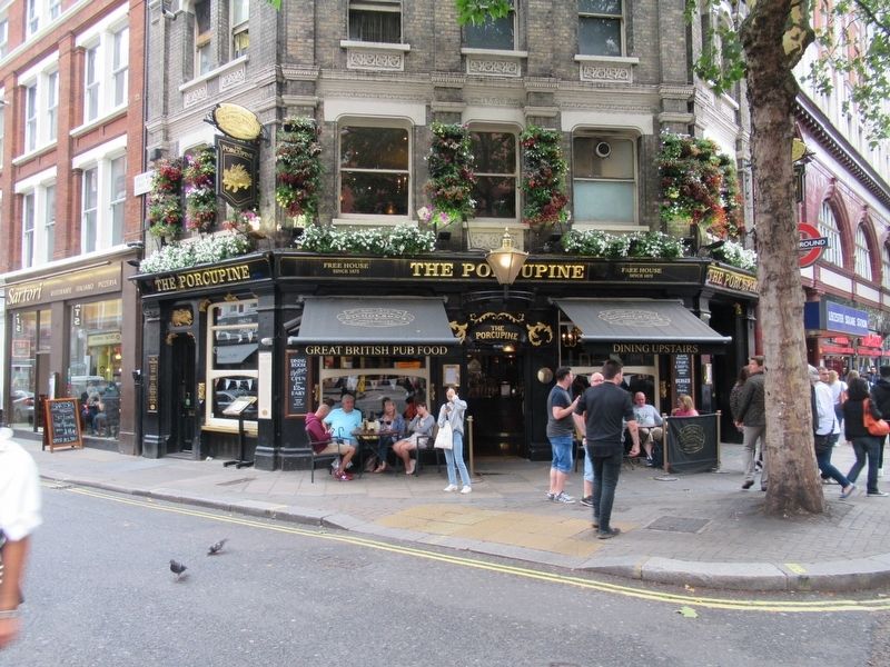 William Nicholson Marker on the Porcupine Pub image. Click for full size.
