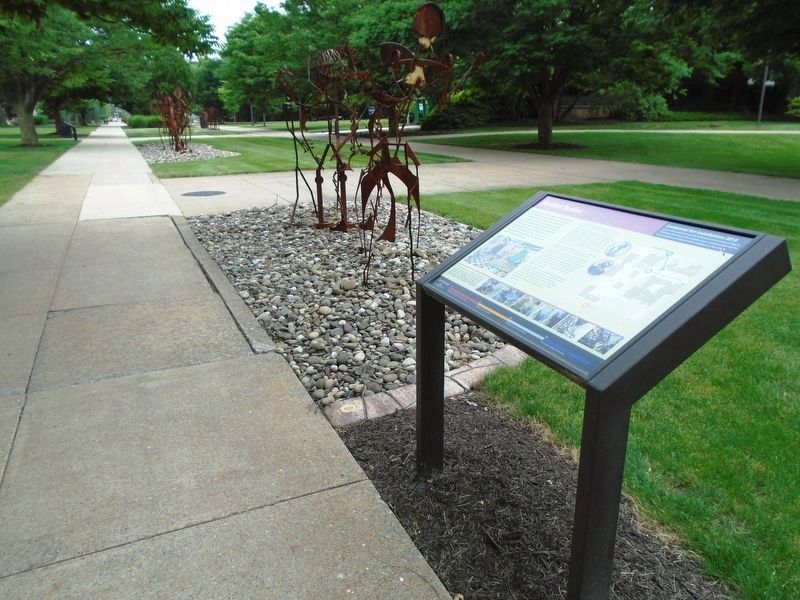 Identical Student Bodies Marker image. Click for full size.