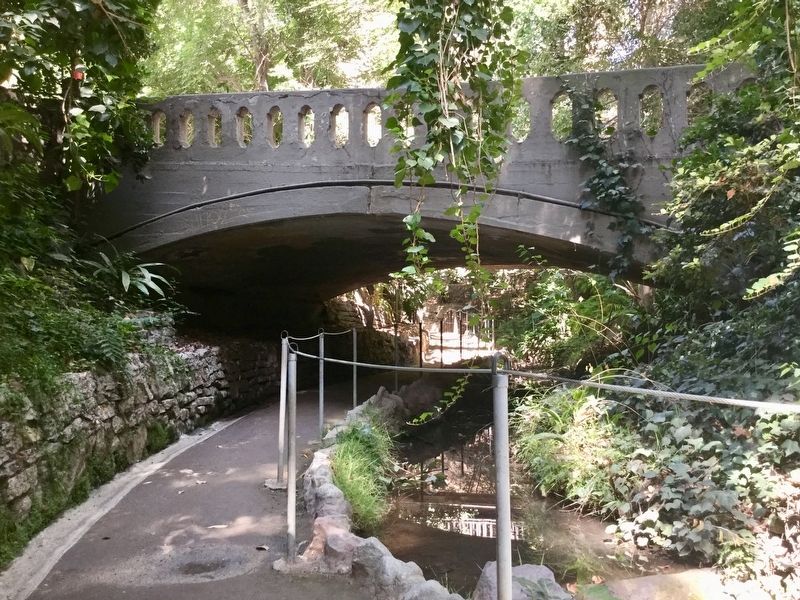 Fern Dell Canyon Trail. Click for full size. Fern Dell Canyon Trail image. Click for full size.