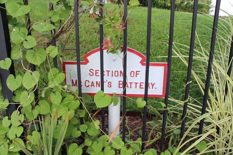 McCant's (Florida) Battery Marker image. Click for full size.