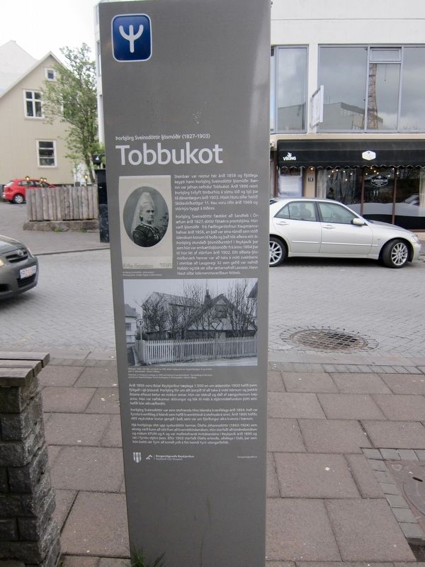 Tobbukot Marker - Icelandic Side image. Click for full size.