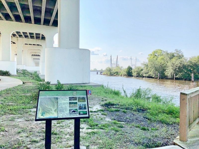 Marker and a portion of the Pascagoula River. image. Click for full size.