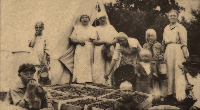 Marker detail: Picking berries, Heinola, Michigan ca. 1920. Click for full size. Marker detail: Picking berries, Heinola, Michigan ca. 1920 image. Click for full size.